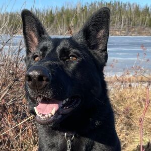 Meet your Posher, Allysha